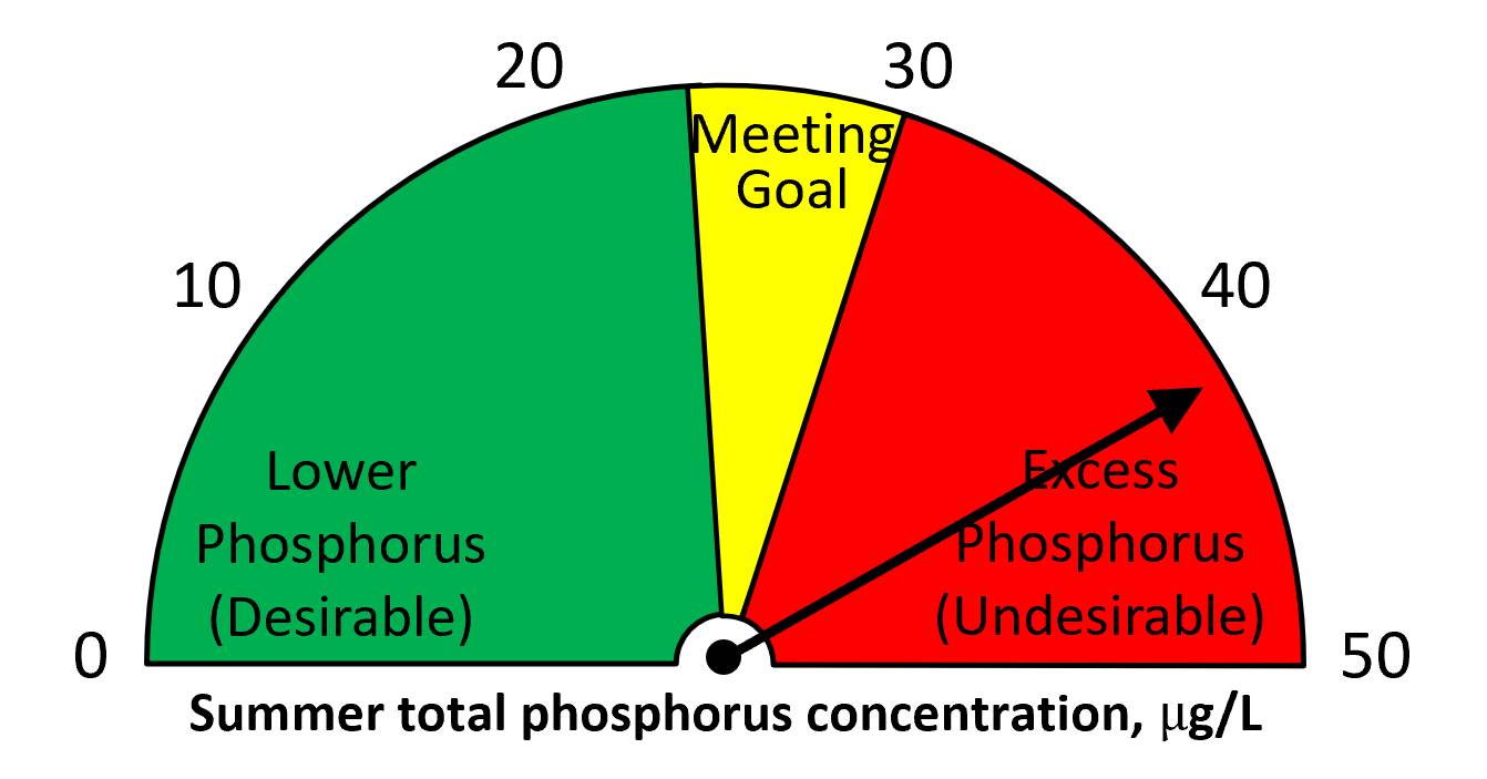 Summer 2024 total phosphorus = 42 ug/L.